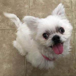 Meet your Posher, Elizabeth